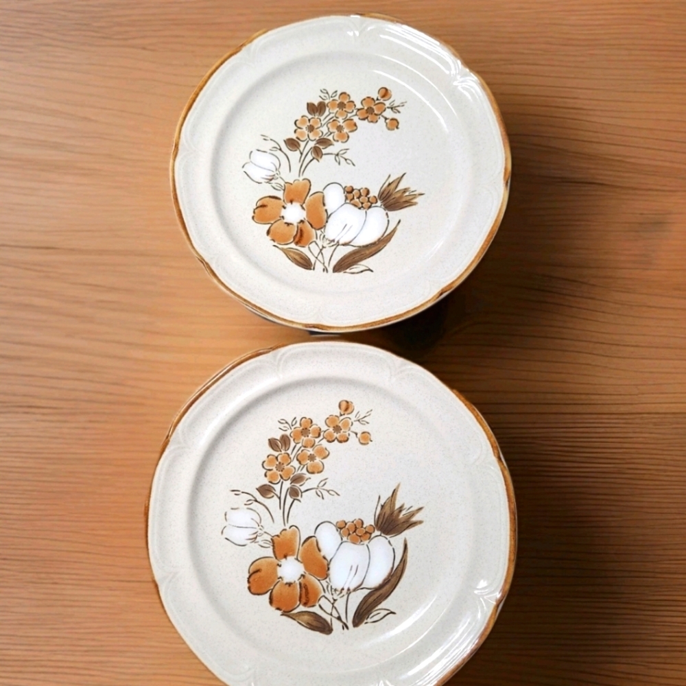 Vintage Hearthside “Autumn Fair” Baroque Dinner Plates – Set of 2